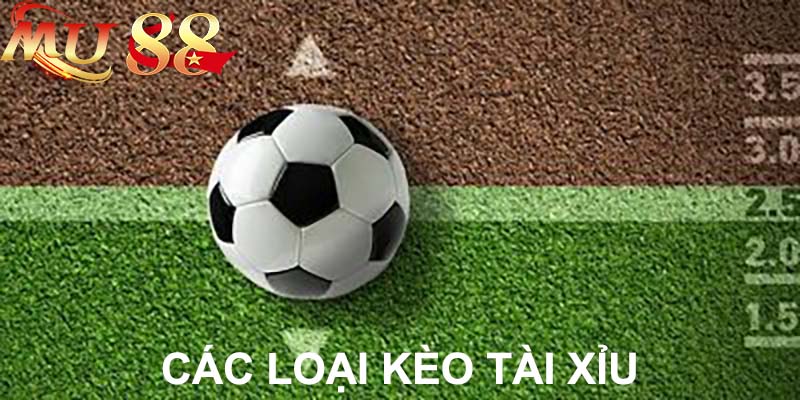 các loại kèo tài xỉu